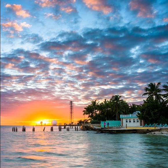 Meet your Posher, Caroline - Picture 1 of 1